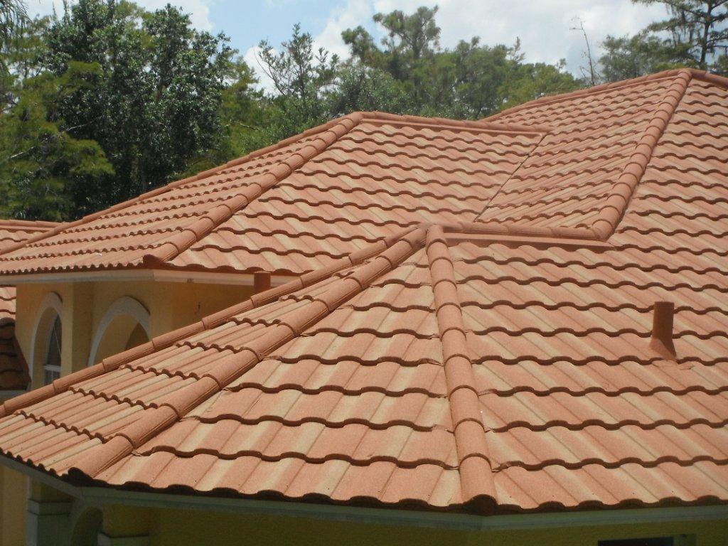 7 Types of Roofing: Which One is the Best for Your Climate?