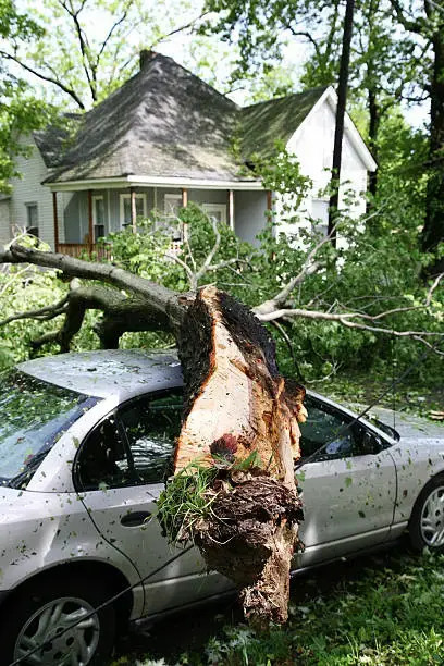 Zona Roofing Storm Damage on Car