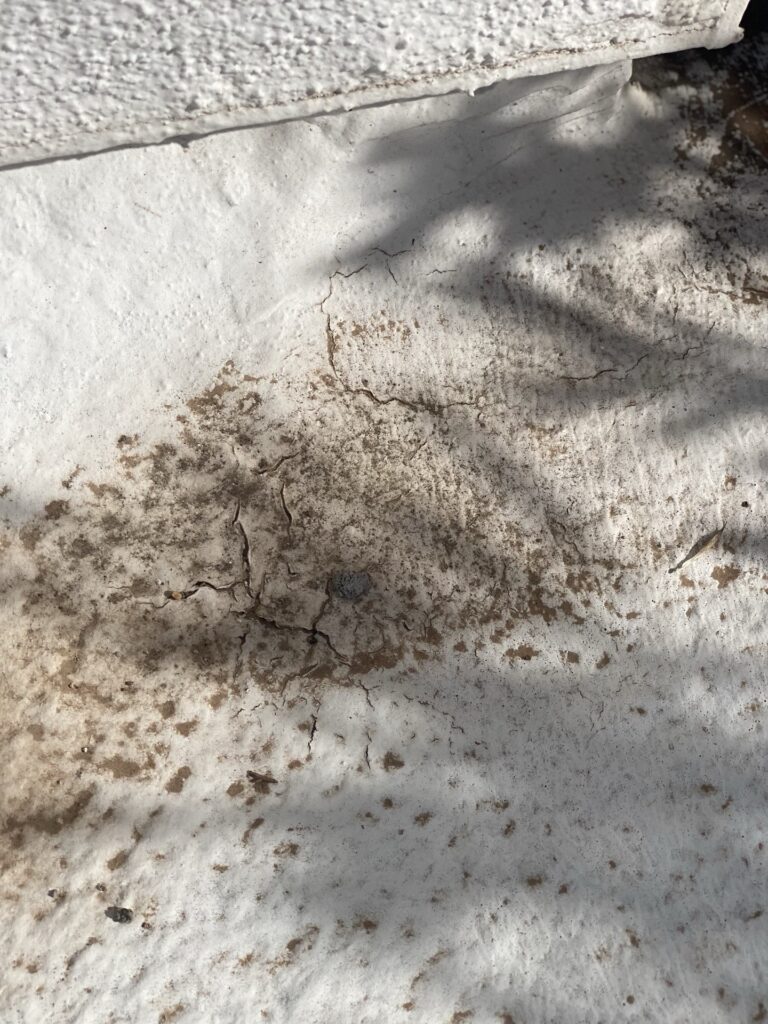 flat roof repair