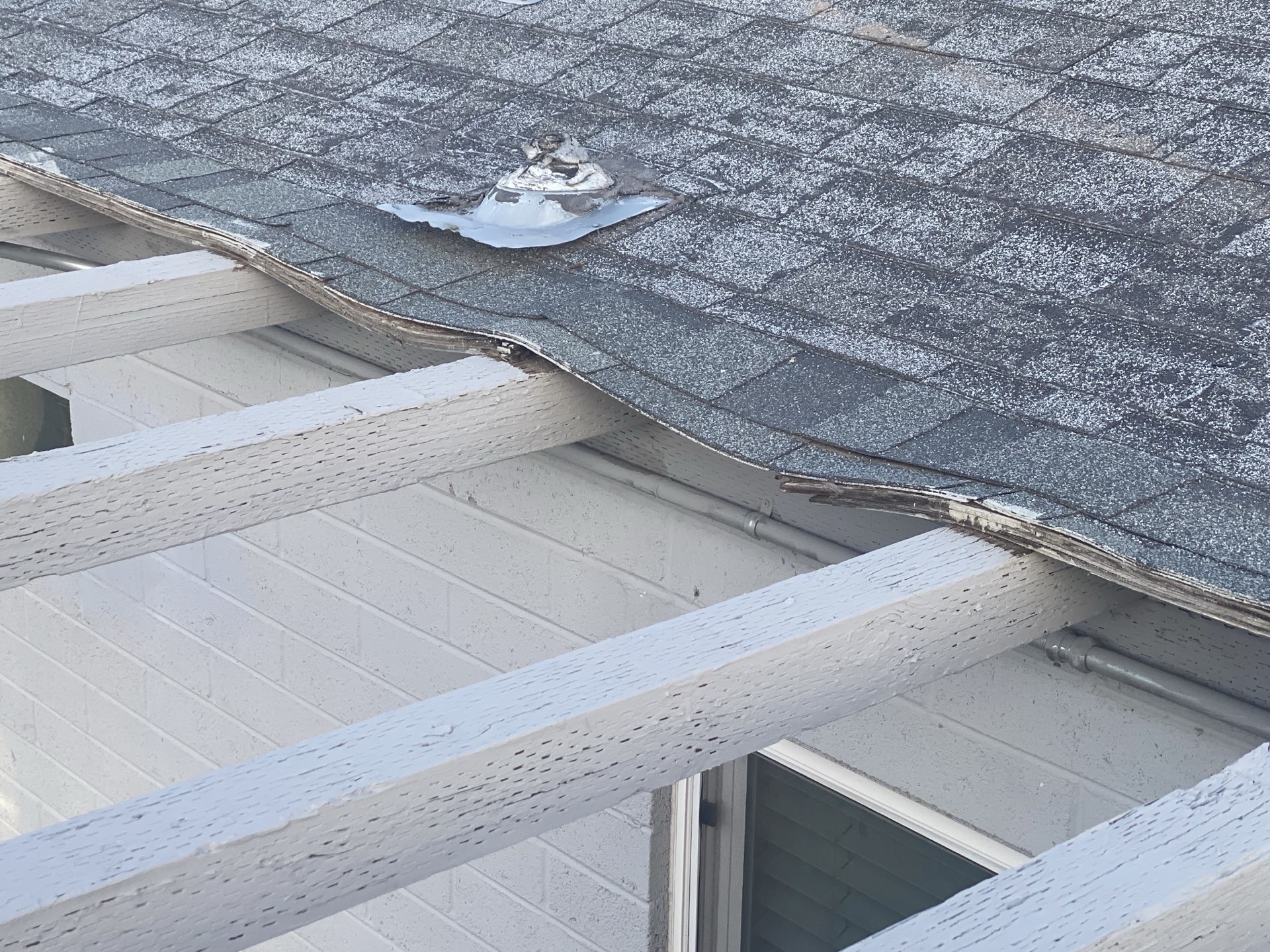 shingle roof replacement
