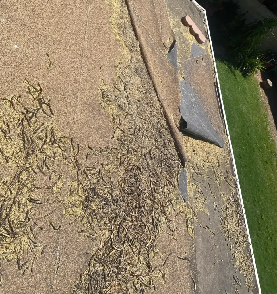 Roof Replacement