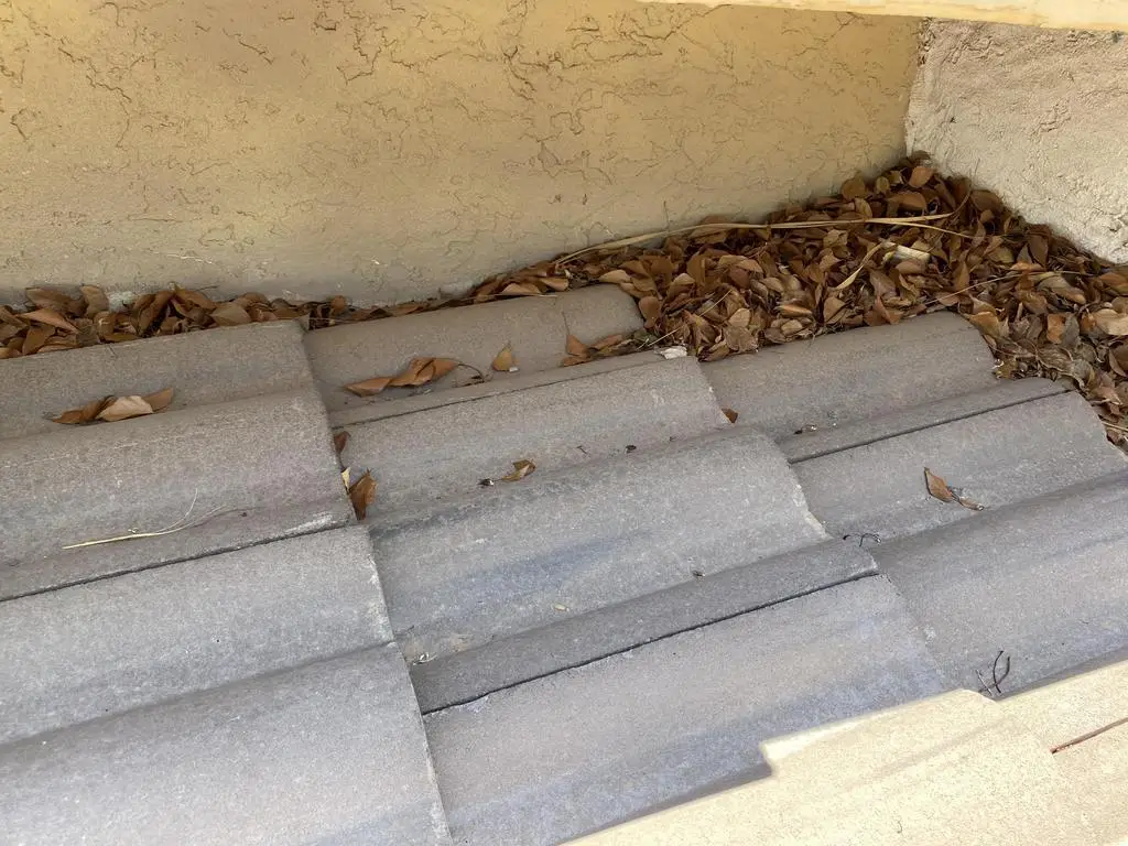 Zona Roofing roof debris