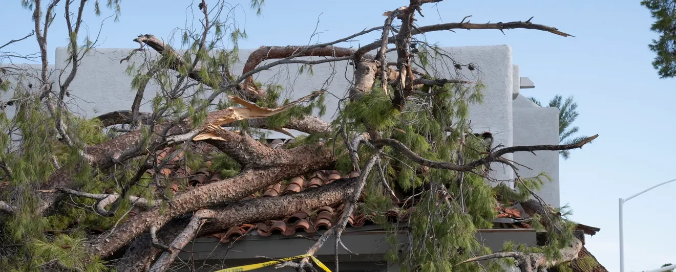phoenix,roof repairs