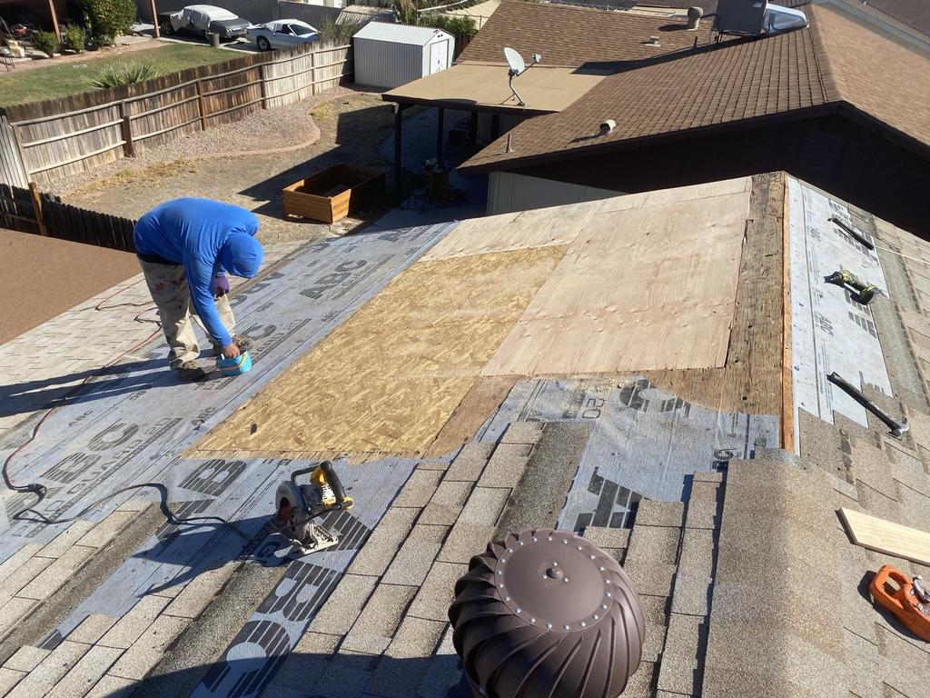 shingle roof